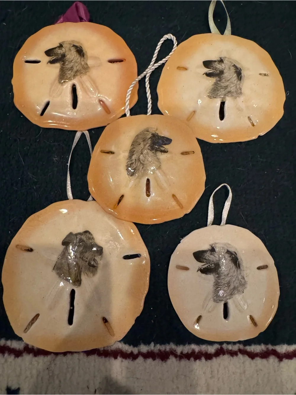 Hand-crafted Dog real Sand Dollar Ornaments - Beige